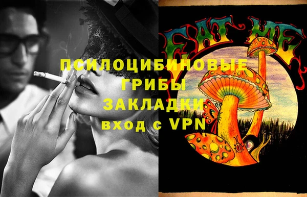 дурь Осинники