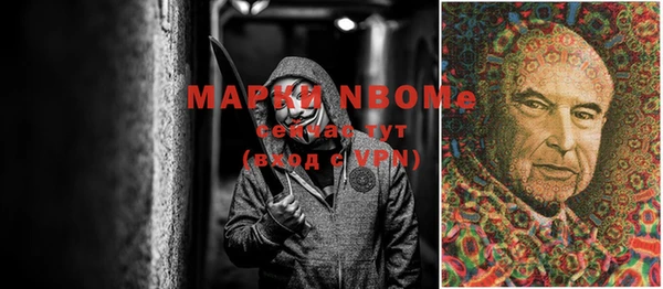 индика Осташков
