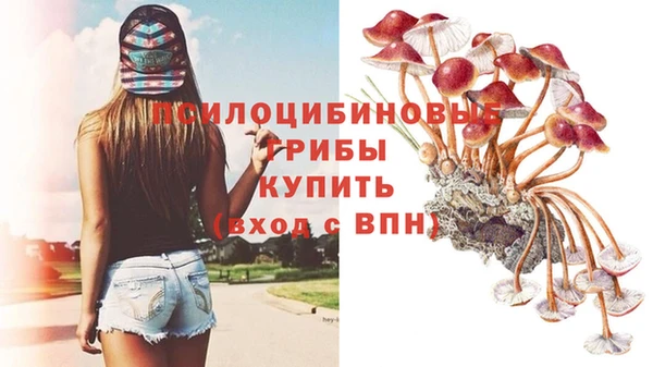 кристаллы Абаза