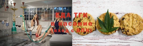индика Осташков